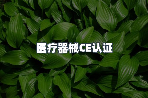 医疗器械CE认证